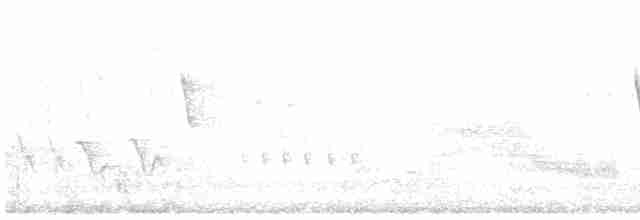European Greenfinch - ML450624761