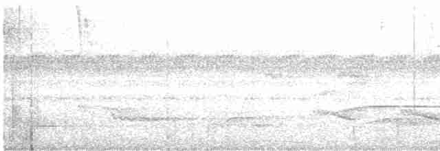 holub neotropický - ML450640881