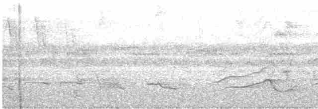 arawaktrost - ML450643801
