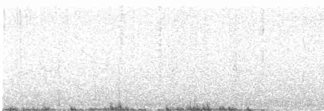 Тауї плямистий - ML450728401