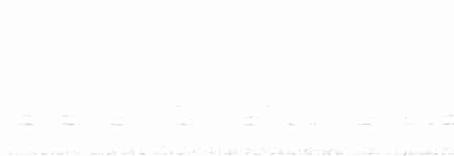 Sittelle à poitrine blanche (carolinensis) - ML450758791