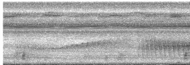 Striped Woodcreeper - ML450779111