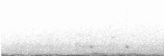 Brown-crested Flycatcher - ML451054181