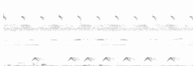 Waldnachtschwalbe - ML451106291