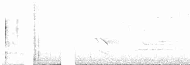 Cerulean Warbler - ML451164881