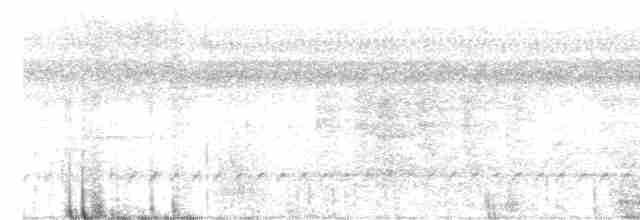 Лінивка-строкатка білошия - ML451177331