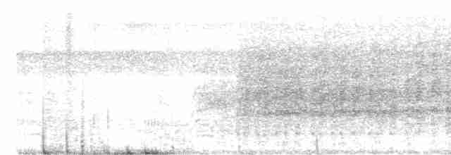 Рибалочка-чубань неотропічний - ML451178251