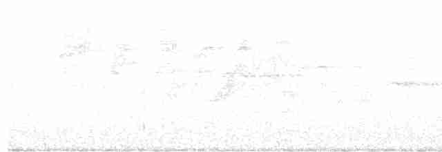Kara Kanatlı Piranga - ML451294781