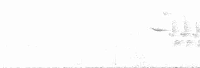 slavík modrohřbetý - ML451312461