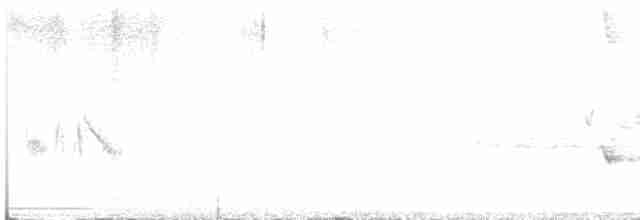lesňáček modrohřbetý - ML451367611