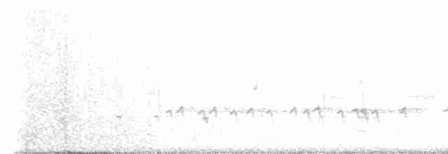"Шишкар ялиновий (Northeastern, або тип 12)" - ML451425171