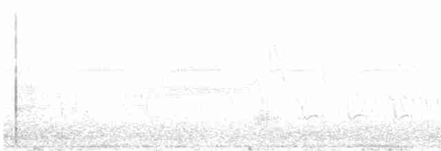 Great Reed Warbler - ML451427661