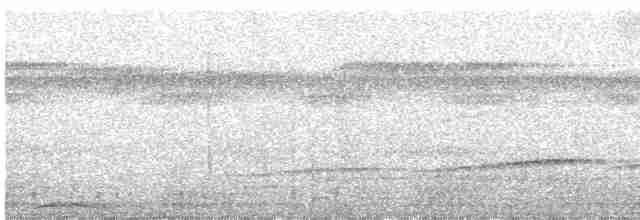 Мурав’янка-куцохвіст велика - ML451442491