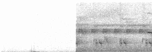 Rostflanken-Ameisenschnäpper - ML451452181