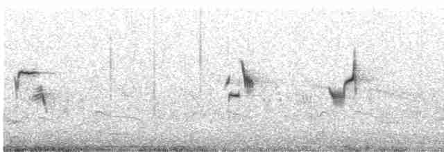 Black-tailed Godwit - ML451508411