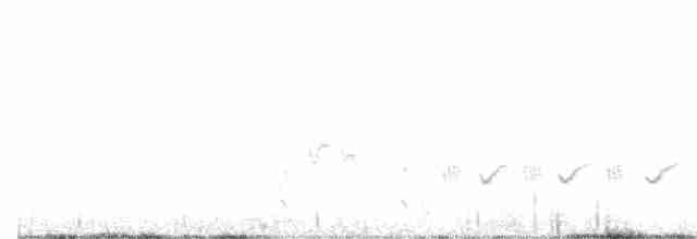 Eastern Orphean Warbler - ML451511581