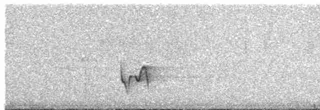 Gri Göğüslü Çıtkuşu - ML451525111