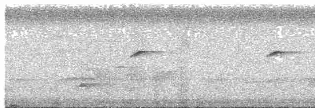 kolibřík hvězdohrdlý - ML451527751