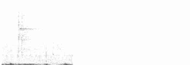 strakapoud americký [skupina harrisi] - ML451724681