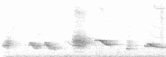 Tuamotu Reed Warbler - ML451747381