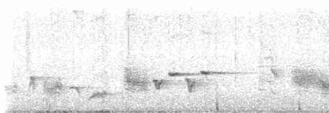 Northern Marquesan Reed Warbler - ML451749771
