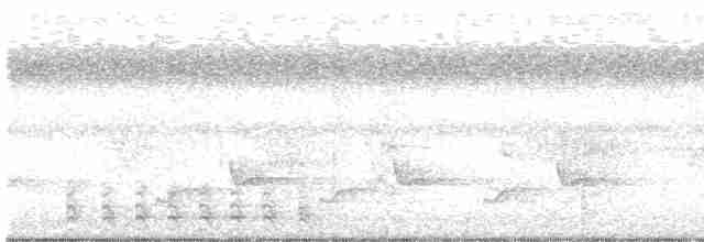 紅腳秧雞 - ML451759091