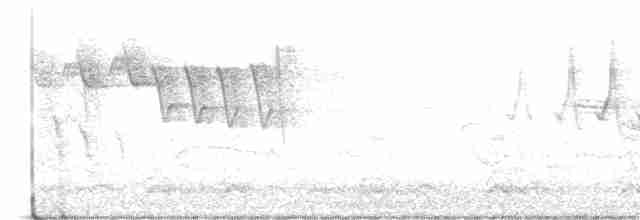 tyranovec vrbový - ML451782051