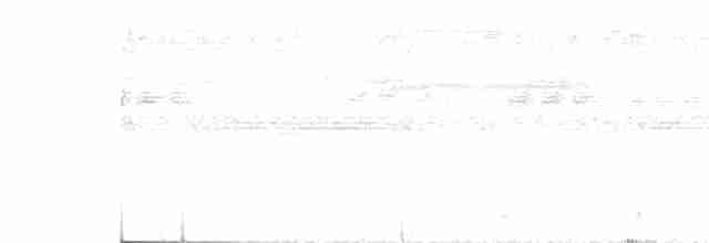Дрімлюга юкатанський - ML451801161