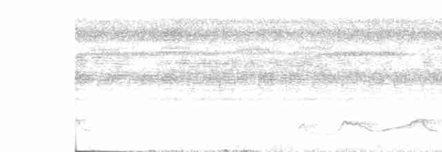 Belizenachtschwalbe - ML451801181