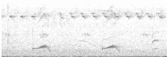 Африканская хохлатая кукушка - ML451834251