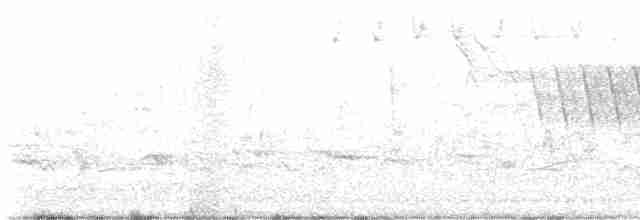 lesňáček černohlavý - ML451951021