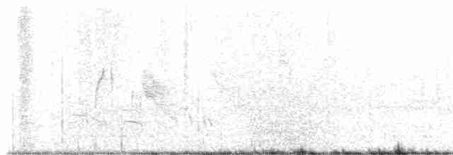Black-billed Cuckoo - ML451970481