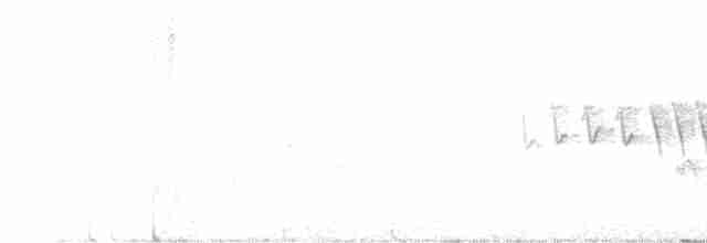 White-eyed Vireo - ML452030161