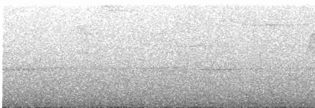 Cuitlacoche Oscuro - ML452118521