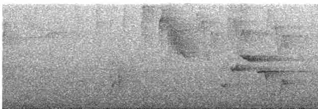 Cuitlacoche Oscuro - ML452118851