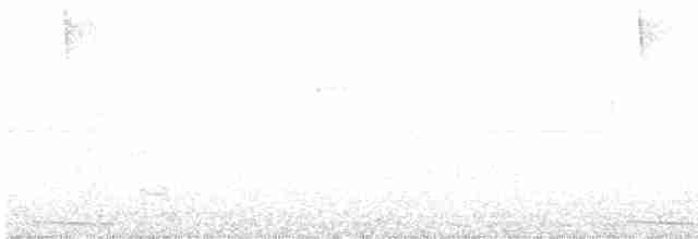 holub panamský - ML452179341