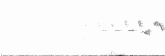 Black-throated Gray Warbler - ML452239091