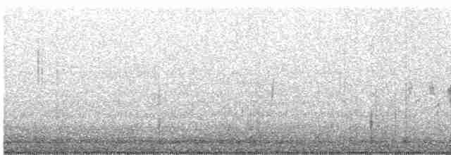 Black-throated Gray Warbler - ML452242241