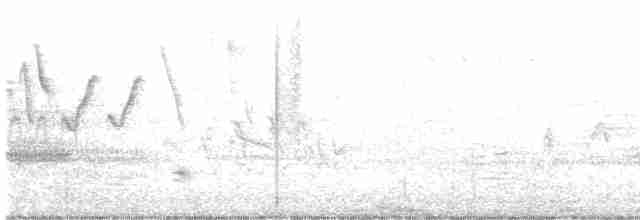 Prairie Warbler - ML452347061