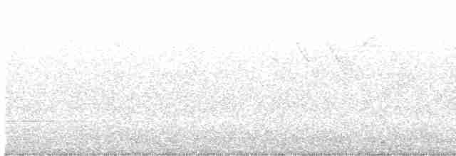 Kentucky Warbler - ML452429611