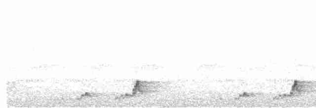 Mexikonachtschwalbe - ML452434091