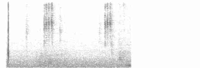 Geniş Gagalı Kolibri - ML452436251