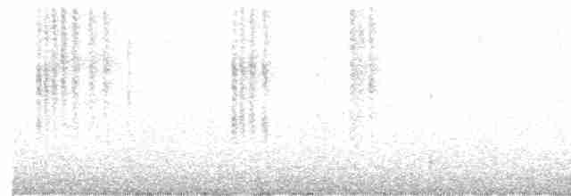 Geniş Gagalı Kolibri - ML452436271