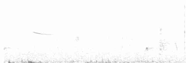 Черногорлая малая овсянка - ML452438181