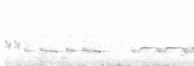 Kara Tepeli Baştankara - ML452438711