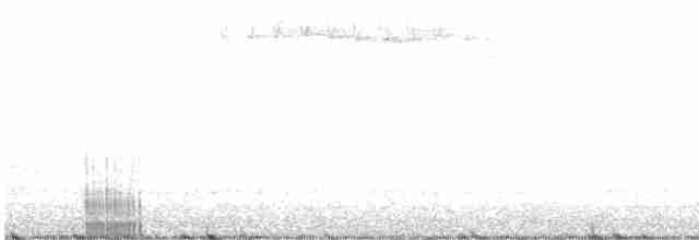 Blackpoll Warbler - ML452497371