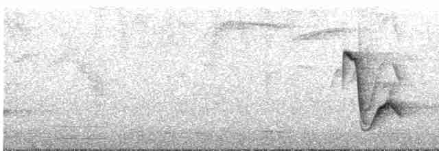 Cuitlacoche Oscuro - ML452501821