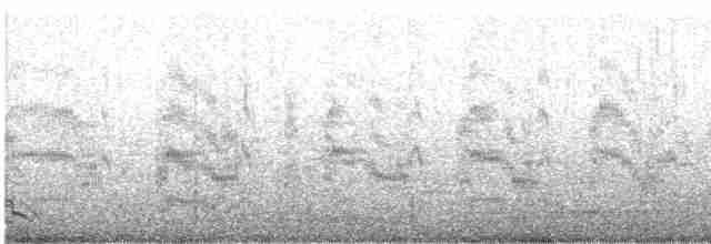 Common Tern - ML452541111