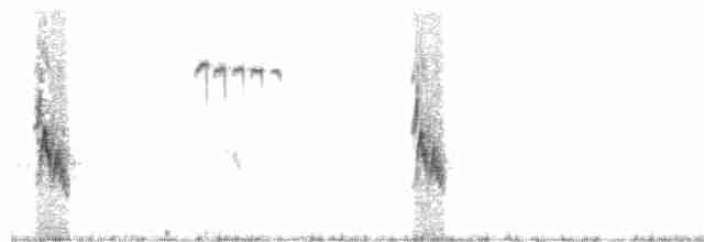 Orite buissonnière (groupe melanotis) - ML452552691