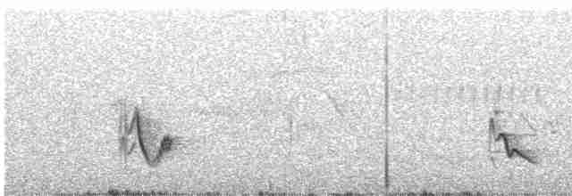 Серый виреон - ML452639901